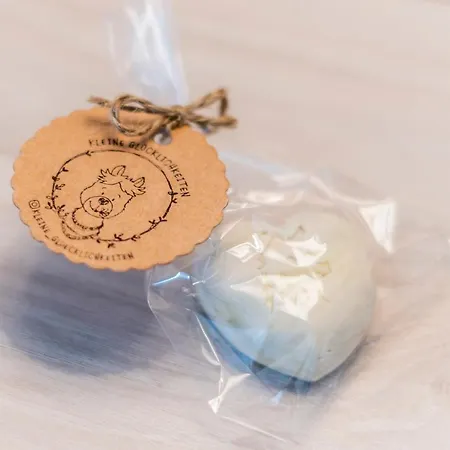 Appartement Hoekis-zimmervermietung 3 *